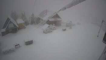 Тростян 17 грудня 2024 року, 2024-12-17 10:00