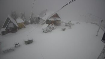 Тростян 17 грудня 2024 року, 2024-12-17 16:00