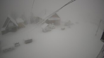 Тростян 18 грудня 2024 року, 2024-12-18 10:00