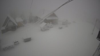 Тростян 18 грудня 2024 року, 2024-12-18 16:00