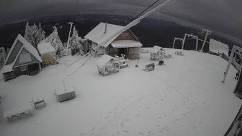Тростян 21 грудня 2024 року, 2024-12-21 13:00