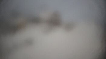 Тростян 27 грудня 2024 року, 2024-12-27 16:00