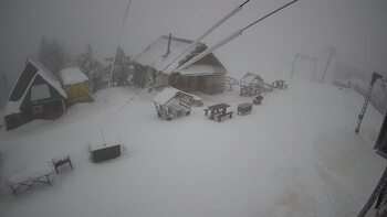 Тростян 6 січня 2025 року, 2025-01-06 13:00