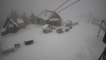 Тростян 6 січня 2025 року, 2025-01-06 16:00