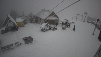 Тростян 11 січня 2025 року, 2025-01-11 13:00