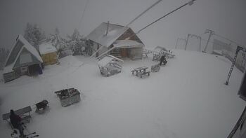 Тростян 12 січня 2025 року, 2025-01-12 16:00