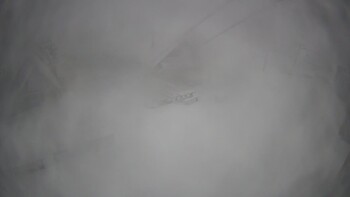 Тростян 13 січня 2025 року, 2025-01-13 10:00