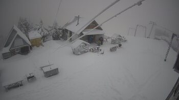 Тростян 13 січня 2025 року, 2025-01-13 16:00
