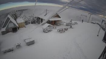 Тростян 17 січня 2025 року, 2025-01-17 10:00