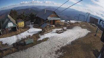Тростян 11 березня 2025 року, 2025-03-11 10:00