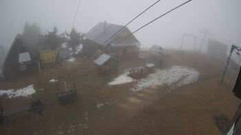 Тростян 13 березня 2025 року, 2025-03-13 10:00