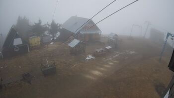 Тростян 14 березня 2025 року, 2025-03-14 10:00