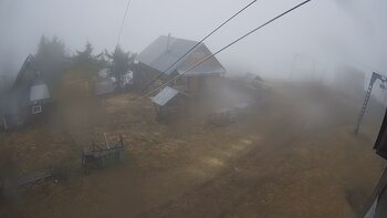 Тростян 31 березня 2025 року, 2025-03-31 13:00