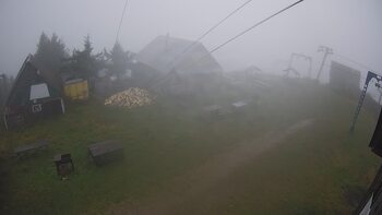 Тростян 11 жовтня 2025 року, 2025-10-11 10:00