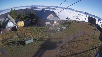 Тростян 5 листопада 2025 року, 2025-11-05 10:00