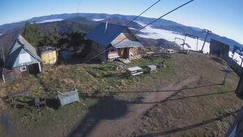 Тростян 7 листопада 2025 року, 2025-11-07 10:00