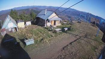 Тростян 7 листопада 2025 року, 2025-11-07 13:00