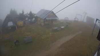 Тростян 11 листопада 2025 року, 2025-11-11 10:00