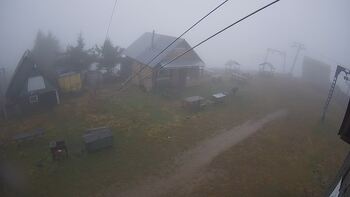 Тростян 11 листопада 2025 року, 2025-11-11 16:00