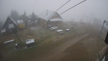 Тростян 12 листопада 2025 року, 2025-11-12 10:00