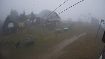 Тростян 12 листопада 2025 року, 2025-11-12 16:00