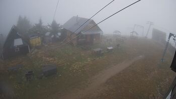 Тростян 13 листопада 2025 року, 2025-11-13 10:00