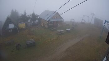 Тростян 13 листопада 2025 року, 2025-11-13 16:00