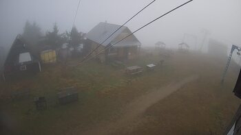 Тростян 14 листопада 2025 року, 2025-11-14 10:00