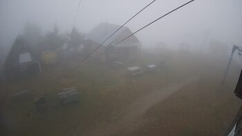 Тростян 15 листопада 2025 року, 2025-11-15 10:00