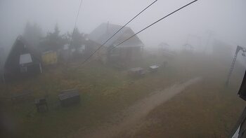 Тростян 16 листопада 2025 року, 2025-11-16 10:00