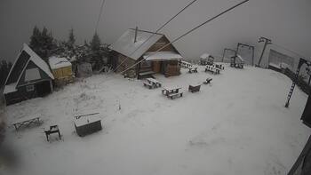 Тростян 18 листопада 2025 року, 2025-11-18 10:00