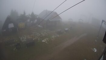 Тростян 21 листопада 2025 року, 2025-11-21 13:00