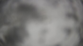 Тростян 23 листопада 2025 року, 2025-11-23 10:00