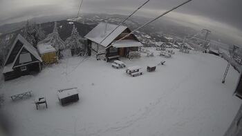 Тростян 25 листопада 2025 року, 2025-11-25 13:00