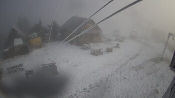 Тростян 28 листопада 2025 року, 2025-11-28 10:00