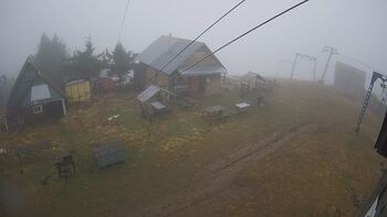 Тростян 11 грудня 2025 року, 2025-12-11 13:00