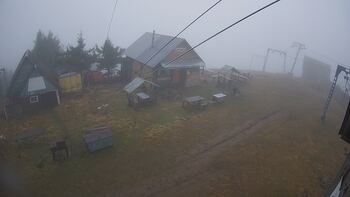 Тростян 11 грудня 2025 року, 2025-12-11 16:00