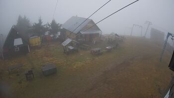 Тростян 20 грудня 2025 року, 2025-12-20 16:00