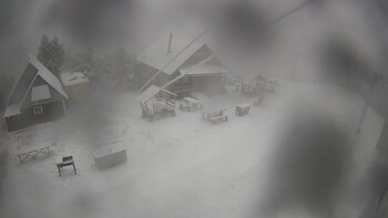 Тростян 24 грудня 2025 року, 2025-12-24 10:00