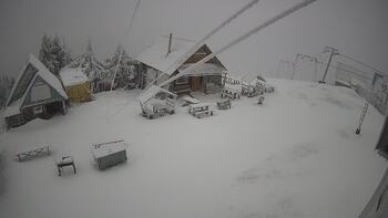 Тростян 31 грудня 2025 року, 2025-12-31 10:00