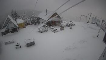 Тростян 31 грудня 2025 року, 2025-12-31 13:00