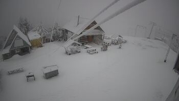 Тростян 1 січня 2026 року, 2026-01-01 13:00