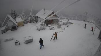 Тростян 2 січня 2026 року, 2026-01-02 16:00