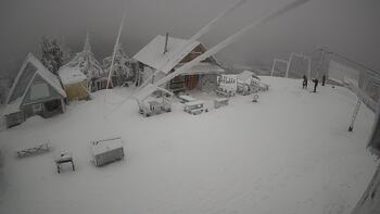 Тростян 3 січня 2026 року, 2026-01-03 10:00