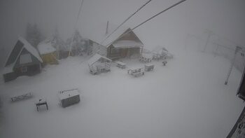 Trostian 6 january 2026 year 10:00