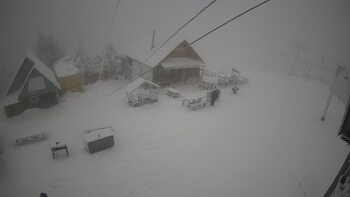 Trostian 6 january 2026 year 13:00