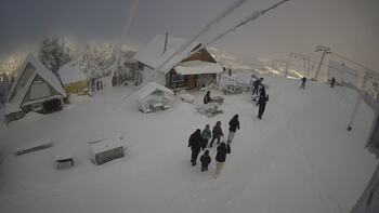 Тростян 9 січня 2026 року, 2026-01-09 13:00