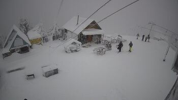 Тростян 11 січня 2026 року, 2026-01-11 13:00