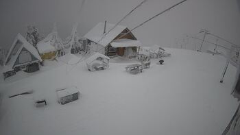 Тростян 12 січня 2026 року, 2026-01-12 10:00