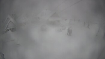 Тростян 13 січня 2026 року, 2026-01-13 10:00